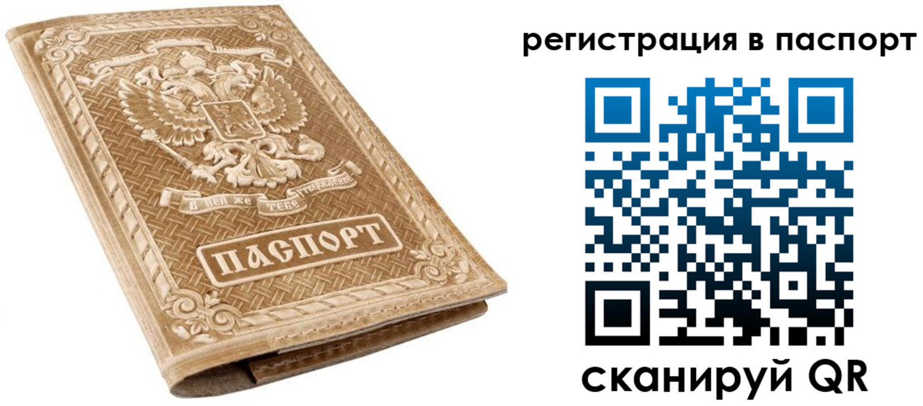 прописка в Бородино